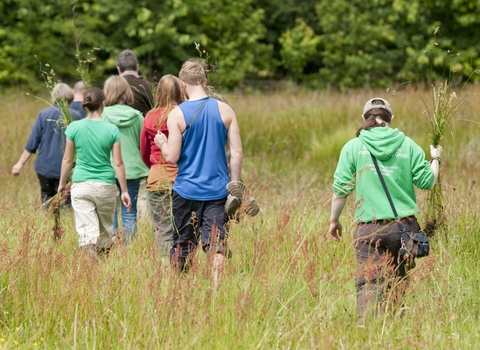 Employee Engagement Wild Work Days