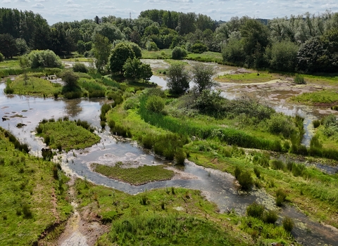 Rugeley Riverside Park, a lush green wetland landscape surrounded by dense trees and vegetation