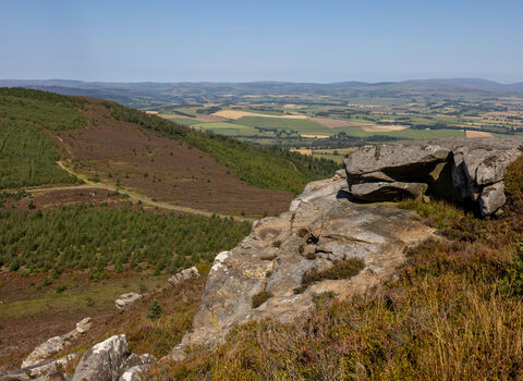 View from Simonside Hills showing rugged rock formations in the foreground, sloping moorland covered with heather and patches of green forest, and a wide valley of farmland stretching into the distance under a clear blue sky.