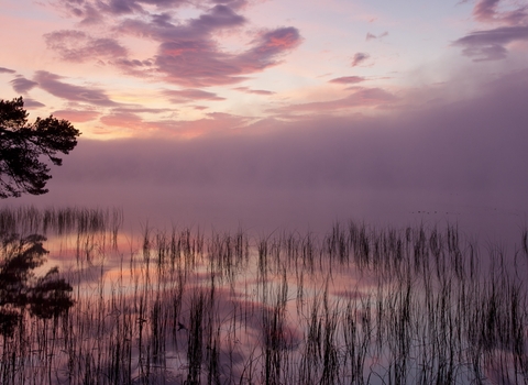 Sunset Loch Garten