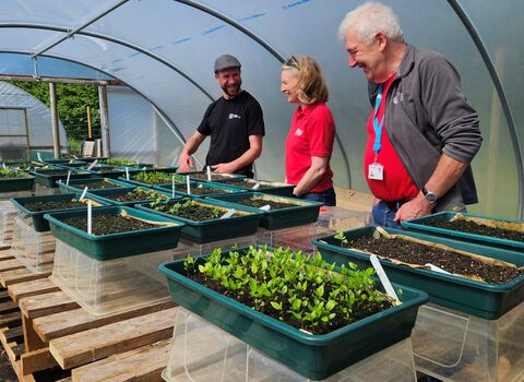 Three people stood in a polytunnel, with seeds sprouting in trays of compost