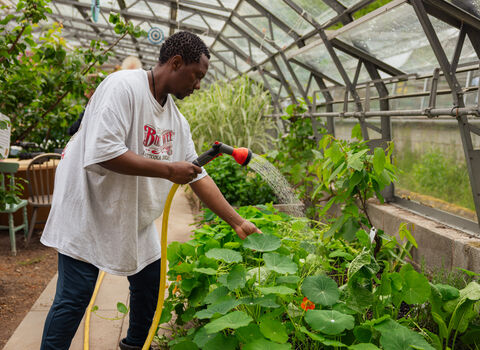 A person watering a variety of plants, including nasturtiums, inside a large domed greenhouse