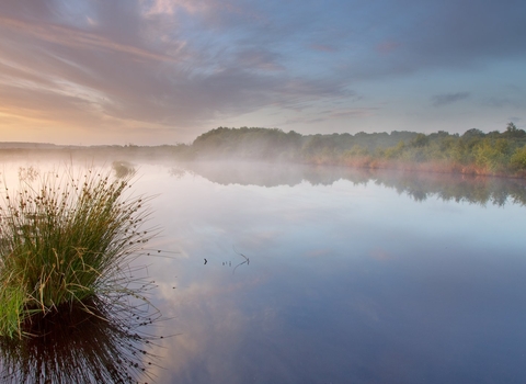 Ballynahone Bog