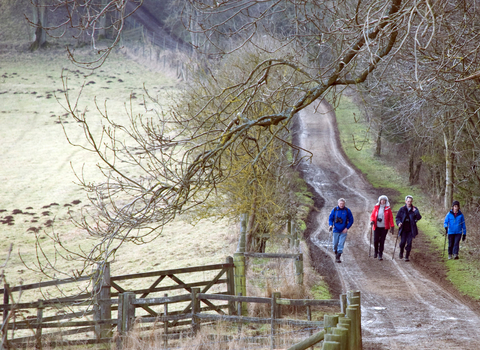 winter walk
