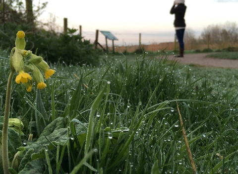 idle valley nature reserve