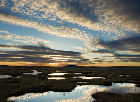 Pool system on peat bog