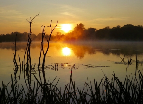 Sun setting over wetlands