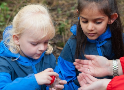 children insect