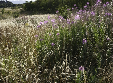 Black Country Living, West Midlands