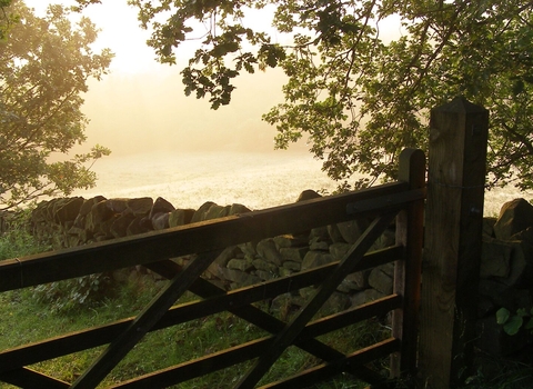 Field and gate
