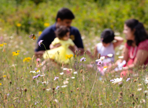 picnic family
